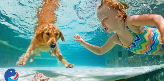 Cách khử mùi hôi trong hồ bơi nhanh chóng